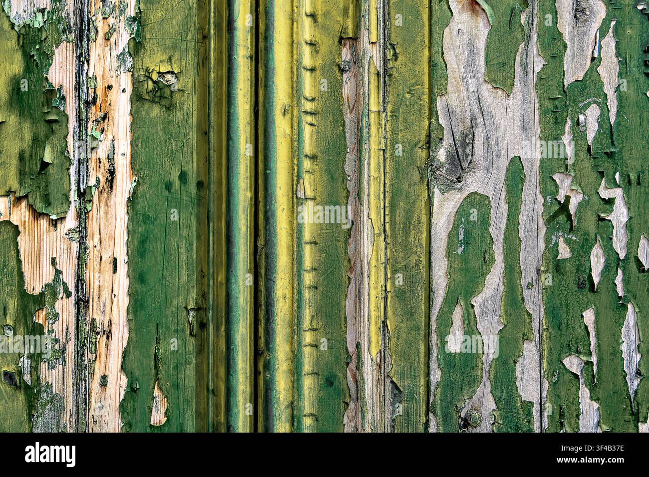 Zerfallende, abblätternde, rissige Farbe an einer Holztür Stockfoto