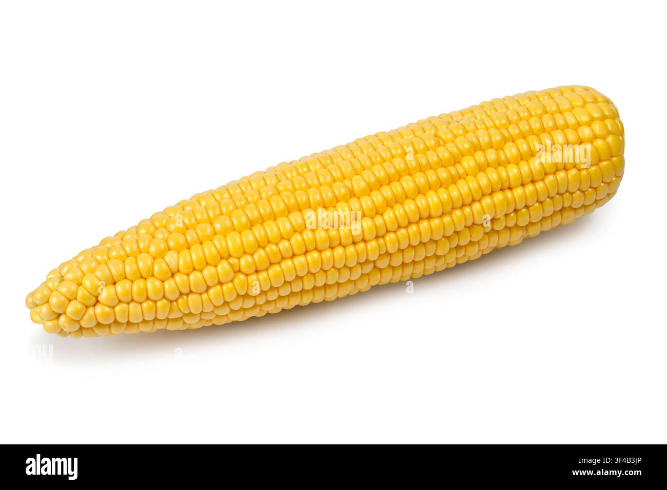 Maiskolben auf weißem Hintergrund. Natürlicher Mais. Ein großer gelber Maiskolben. Stockfoto