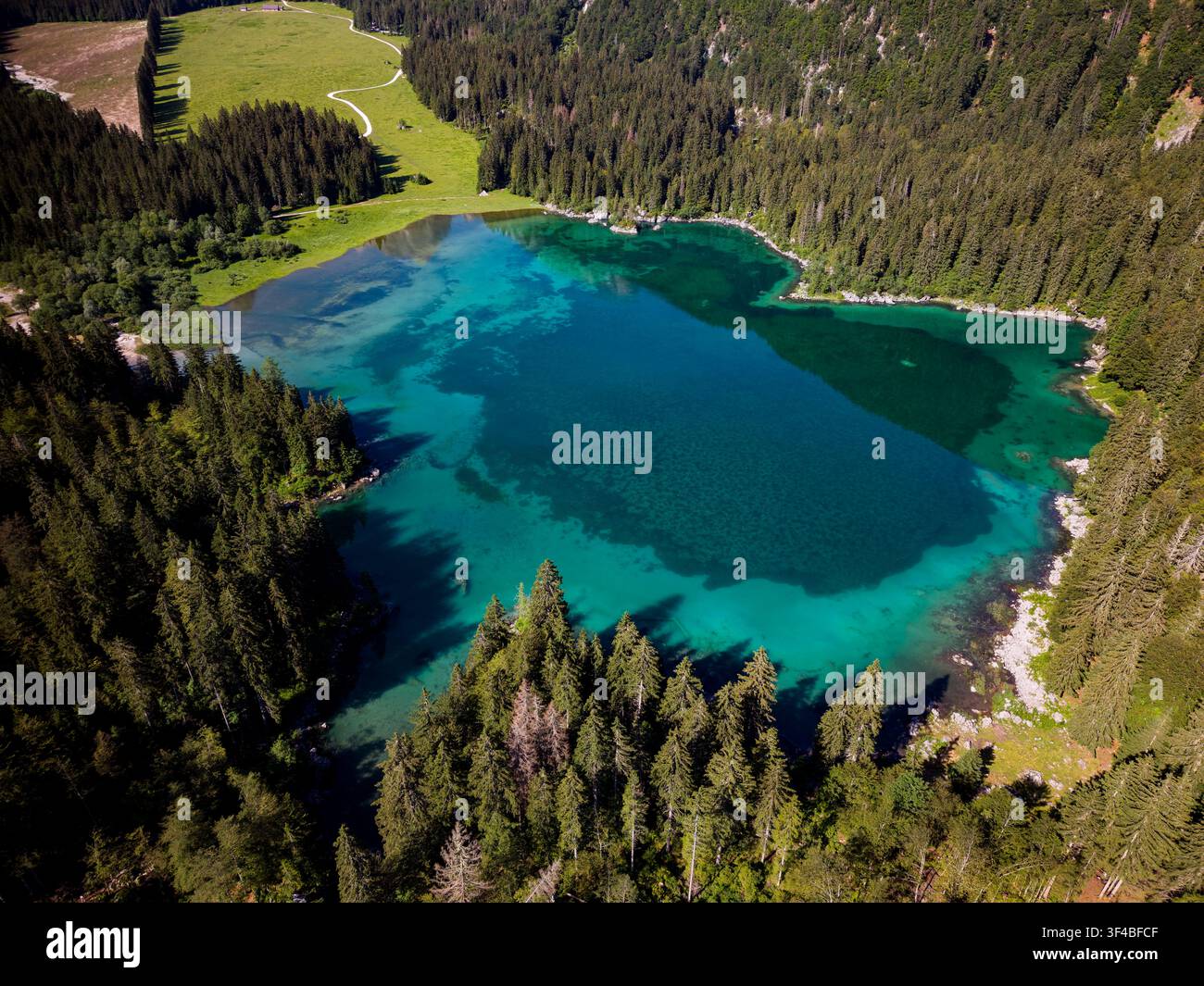 Luftbild eines türkisfarbenen Alpentsees, umgeben von dichtem immergrünem Wald und einem Wiesenpfad Stockfoto