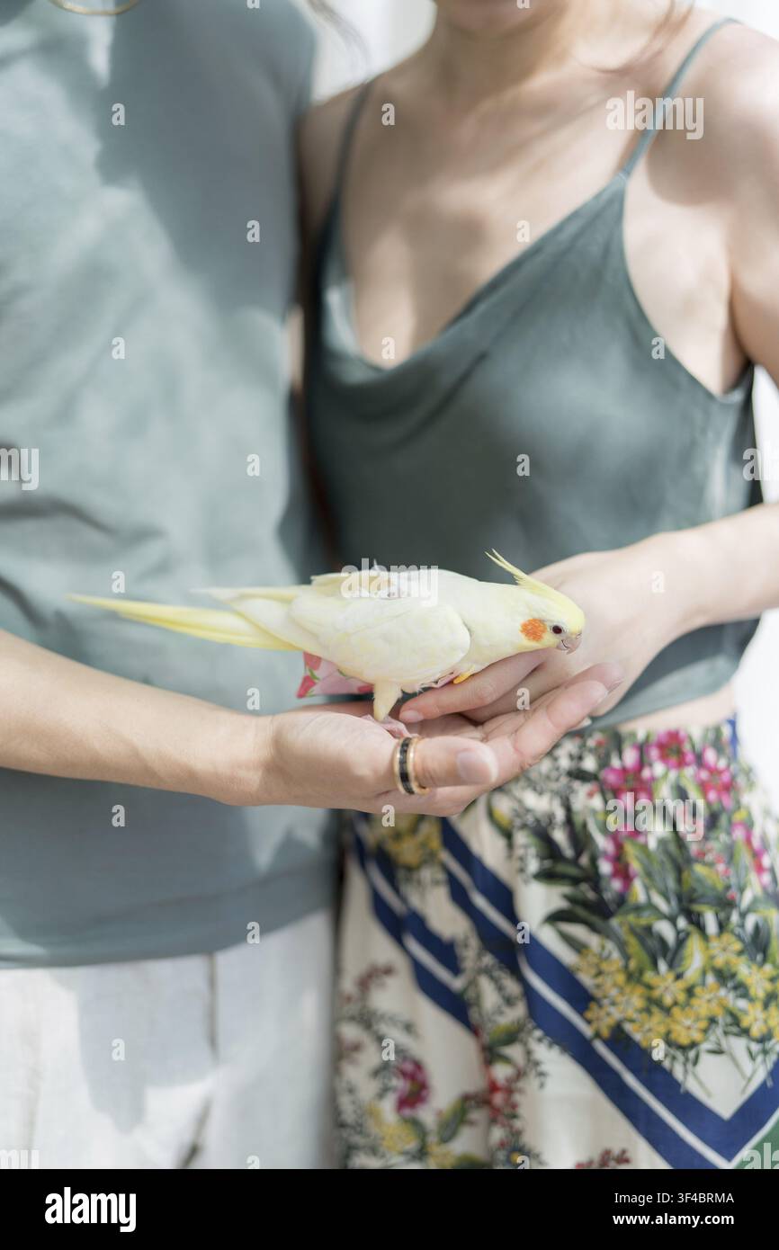 Sanfte Hände halten einen Kakadu, weiße Erwachsene, weiches Sonnenlicht und Blumenskirt, intime Haustier-Therapie-Szene mit Betreuern Stockfoto