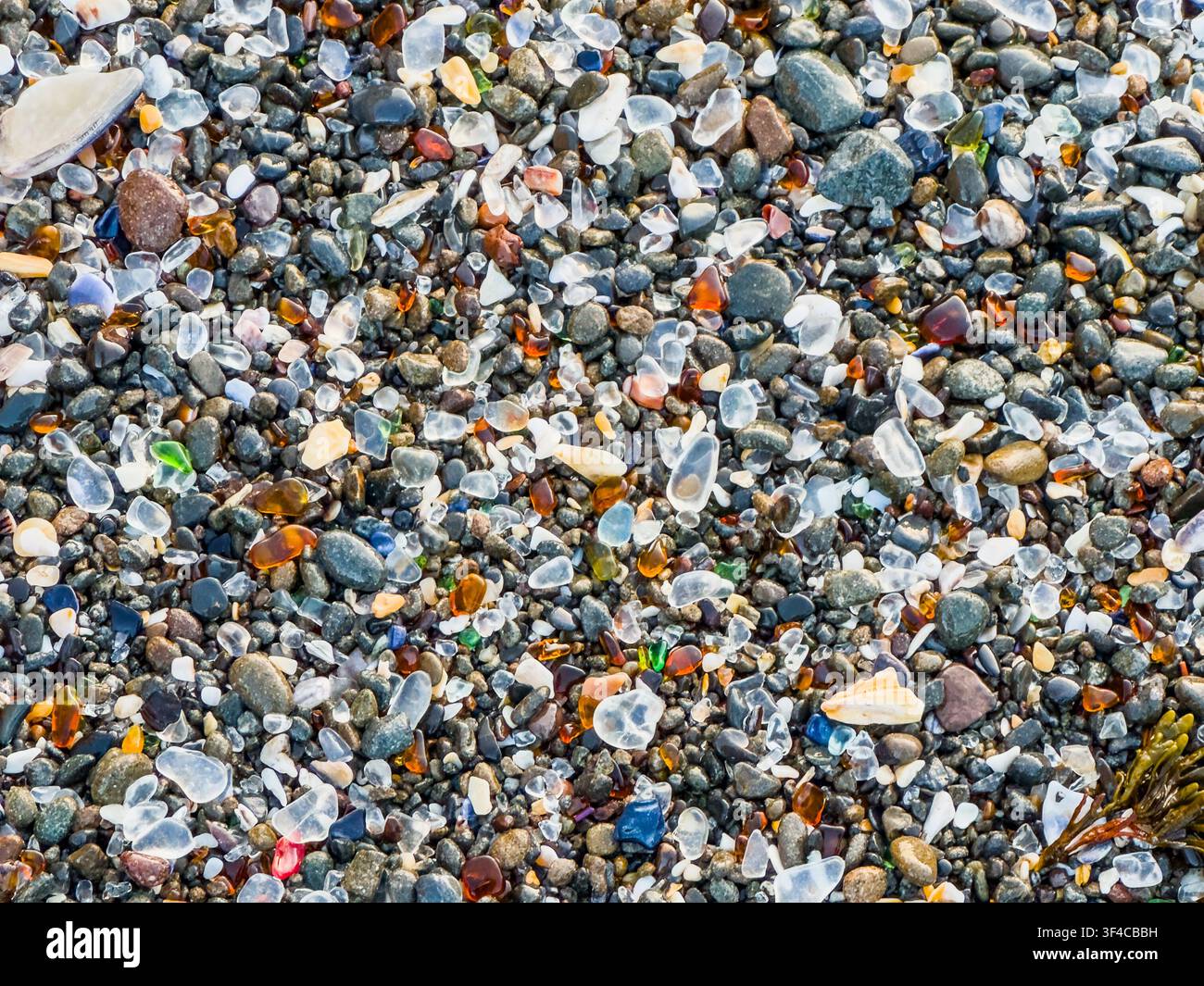 Nahaufnahme von poliertem Glas am Glass Beach, MacKerricher State Park, nahe Fort Bragg, Kalifornien. - Smartphone-aufgenommenes Stockfoto