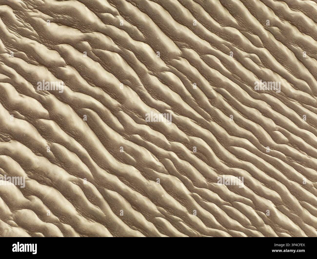 Luftaufnahme von Sanddünen an der Skelettküste in der Kunene-Region, Namibia. Stockfoto