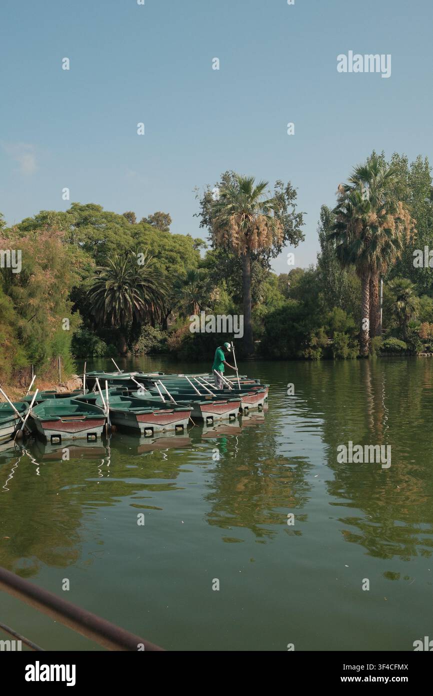Kleine Ruderboote, die am Ufer eines ruhigen Sees vertäut sind, umgeben von üppiger Vegetation und Palmen in einem öffentlichen Stadtpark. Stockfoto