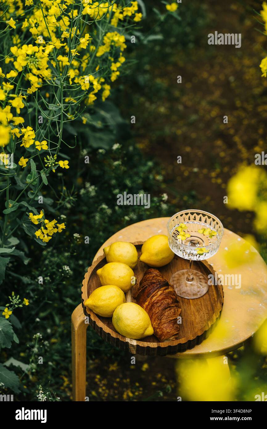 Frische Zitronen und Croissant auf Holzplatte zwischen lebendigen gelben Blumen im Garten Stockfoto