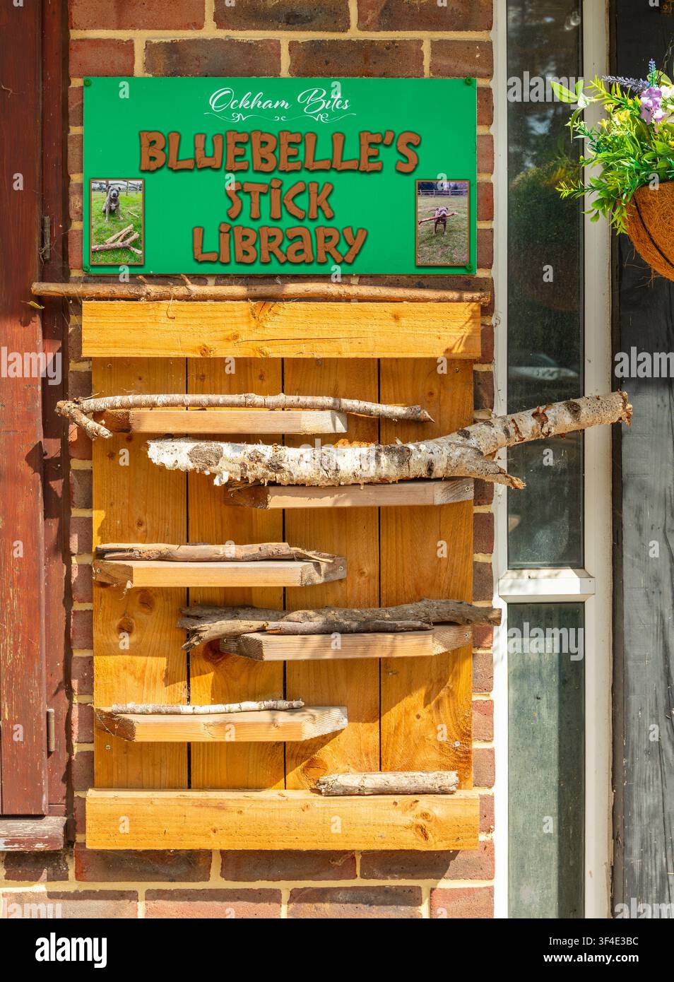Stockbibliothek für Hunde. Stockfoto