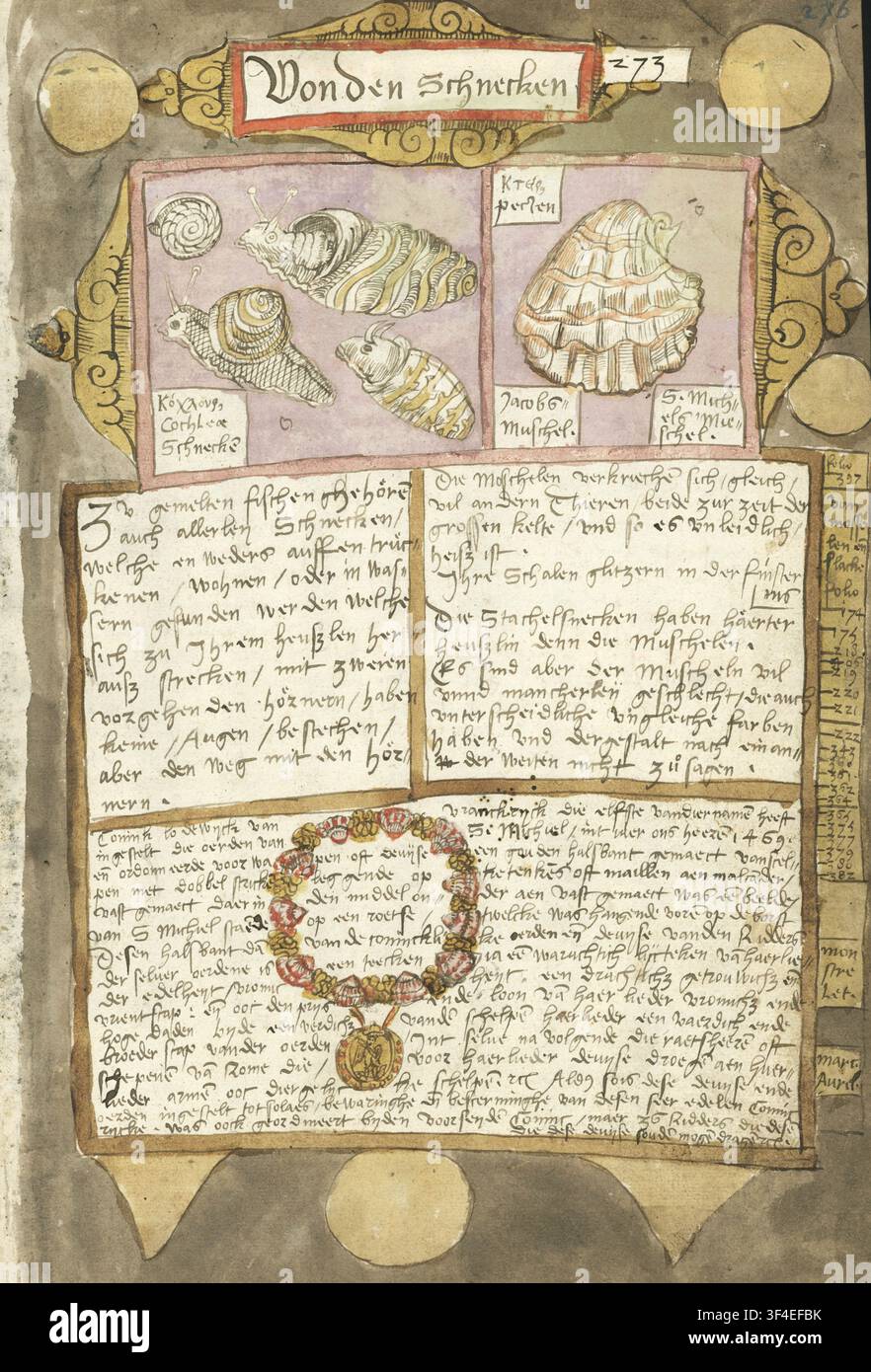 Adriaen Coenens Visboeck, ein zwischen 1577 und 1579 entstandenes Manuskript, das aus der Koninklijke Bibliotheek, der Nationalbibliothek der Niederlande, stammt, auf Niederländisch verfasst und in Papier und Leder gebunden ist und das Fischerdorf Scheveningen beschreibt. Stockfoto