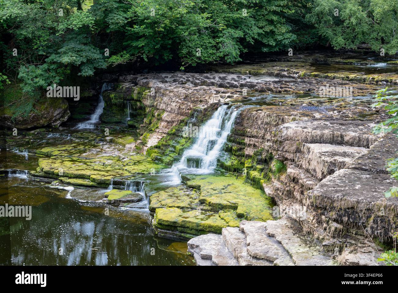 Middle Aysgarth Falls, Aysgarth, Yorkshire, England Stockfoto