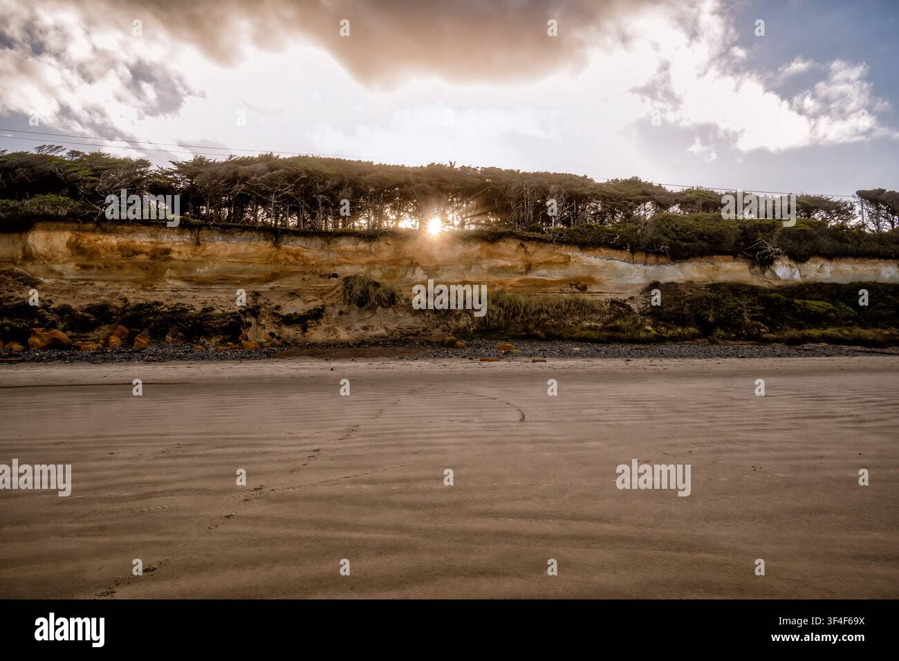 Sonnenlicht durchdringt die Baumgrenze und wirft einen goldenen Schimmer. Strandsände erstrecken sich weit, texturiert durch die sanfte Berührung der Gezeiten. Die Felswand zeigt erdige Farbtöne, verwittert Stockfoto