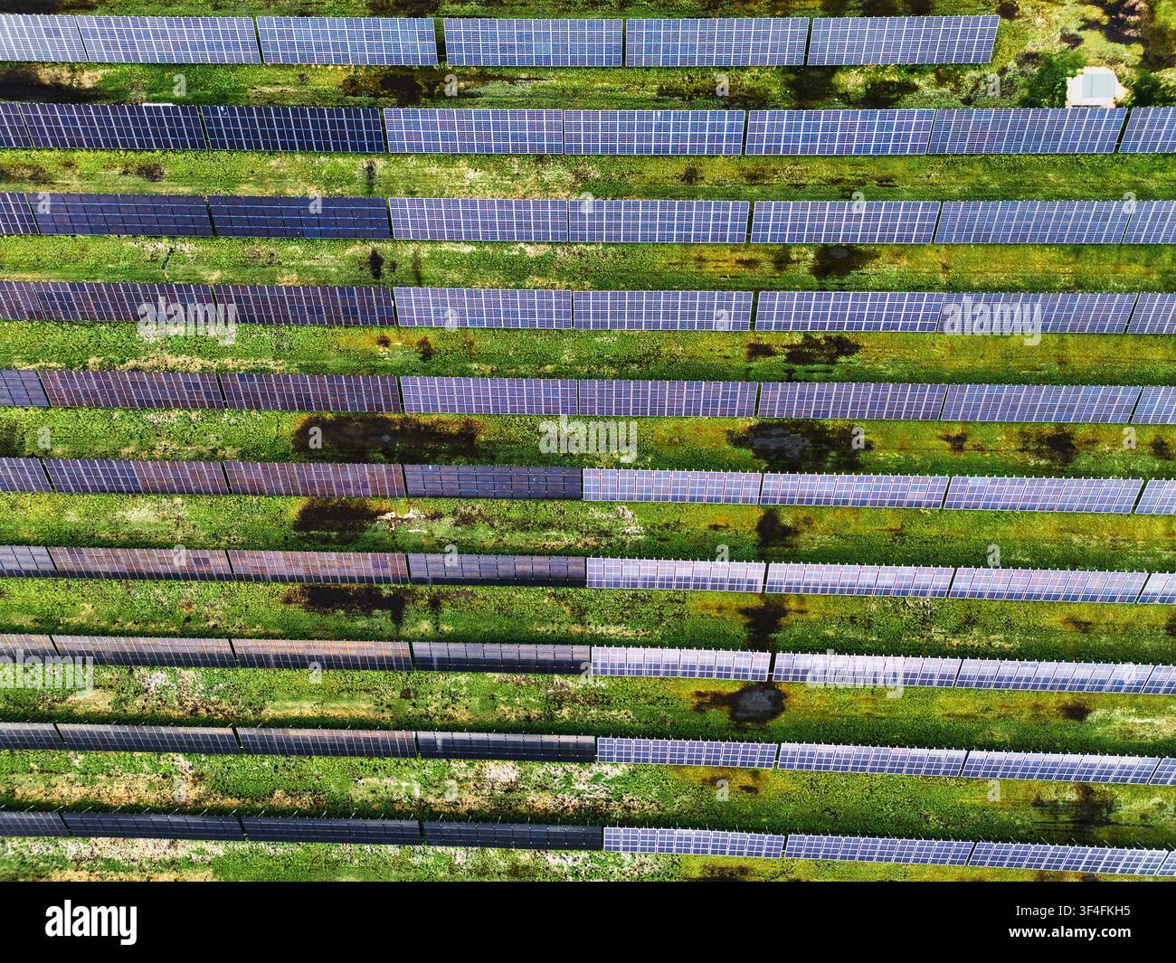 Luftaufnahme von oben über eine Solarpaneel-Farm Stockfoto