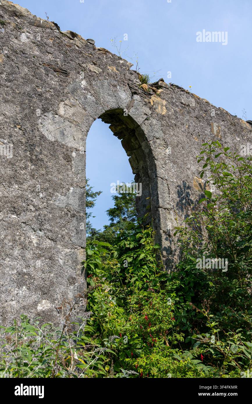 Verlassene kirchliche Ruinen ohne Dach, überwuchert von Vegetation Stockfoto