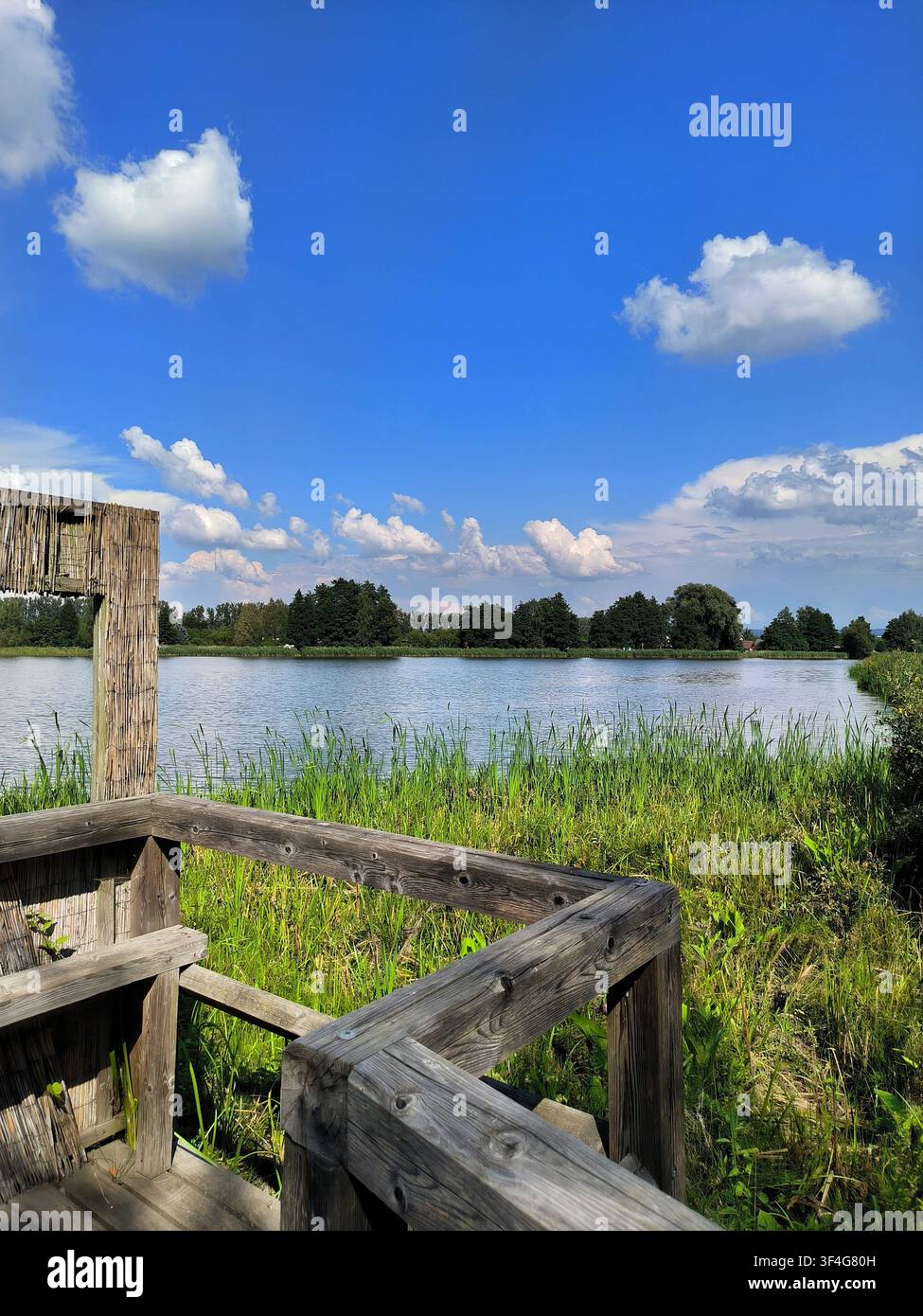Holz-Vogelschutz-Hütte neben einem friedlichen See an einem sonnigen Sommertag - Smartphone-aufgenommenes Stockfoto