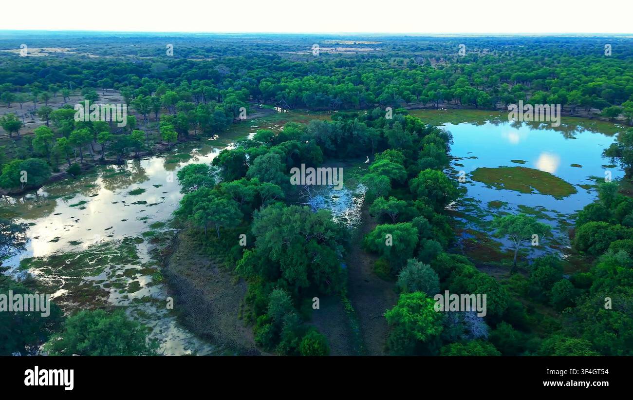 Hohe Luftaufnahme, die eine gewundene Flussbiegung zeigt, umgeben von üppigem grünem Wald und ruhigen Gewässern. Stockfoto