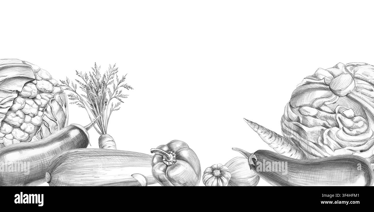 Rechteckiger Rahmen mit verschiedenen frischen Gemüsesorten. Isolierte Bleistiftillustration für Menüs, Etiketten, Kochbücher, Blogdesign, Restaurants, Hofläden Stockfoto