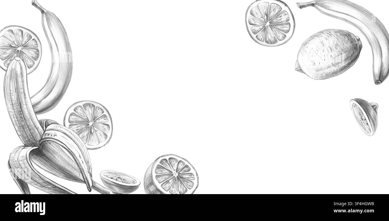 Ein rechteckiger Rahmen mit dynamisch angeordneten Früchten. Isolierte Bleistiftillustration für Menüs, Etiketten, Kochbücher, Blogdesign, Restaurants, Bauernläden Stockfoto
