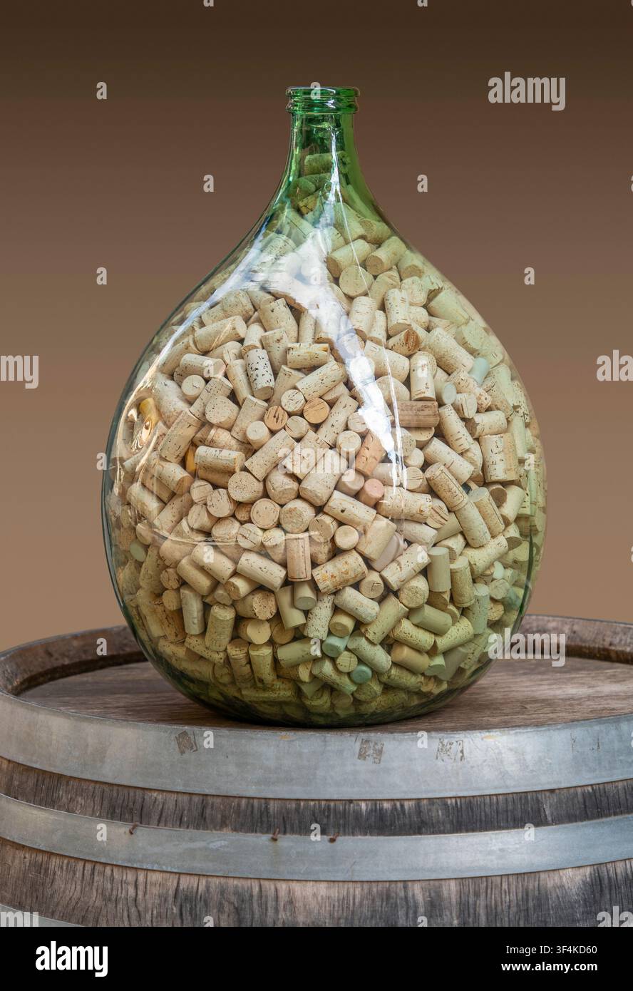 Große Glasflasche gefüllt mit Weinkorken, die auf einem Weinfass platziert ist, isoliert vor einem Farbverlaufshintergrund Stockfoto