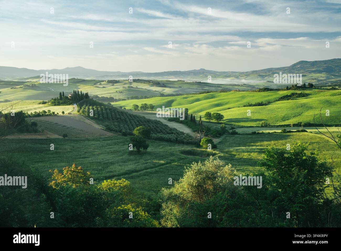 Toskana-Hügellandschaft mit Morgennebel bei Sonnenaufgang, Val d'Orcia, Italien Stockfoto