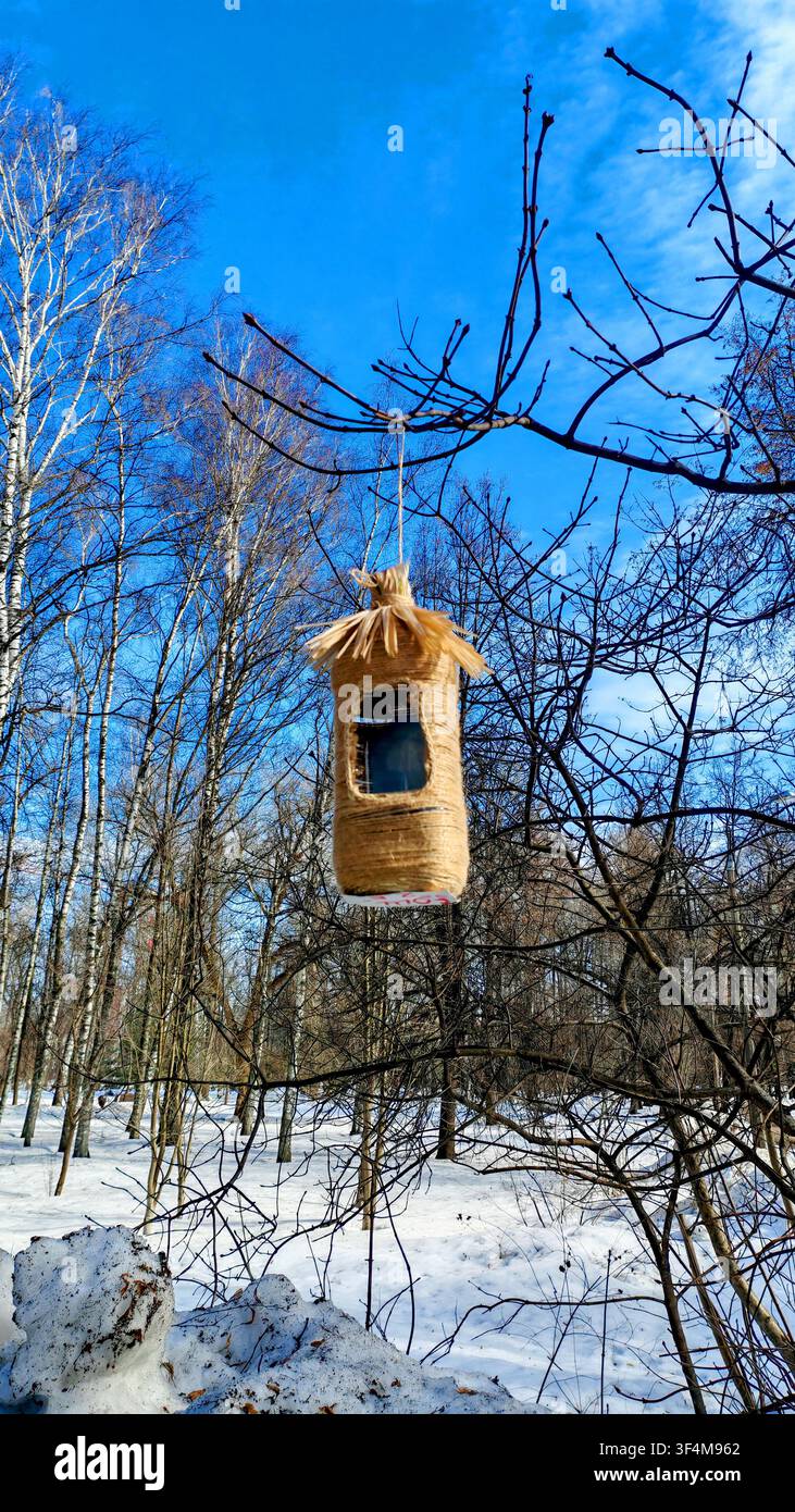 Ein mit Schnur umwickelter Futterspender aus einer wiederverwendeten Flasche hängt zwischen kahlen Ästen in einem hellen, friedlichen Winterpark. Das authentische Bild hebt hervor Stockfoto