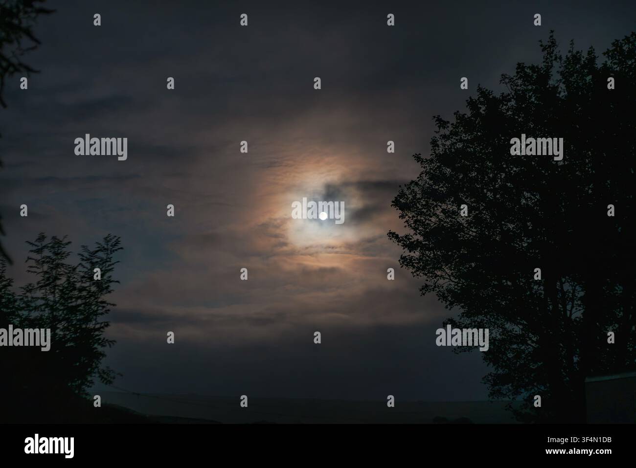 Ein Vollmond ist durch wirbelnde Wolken sichtbar und erzeugt ein diffuses Leuchten vor dem dunklen Himmel. Silhouetten von Bäumen und Vegetation rahmen die Szene ein. Stockfoto
