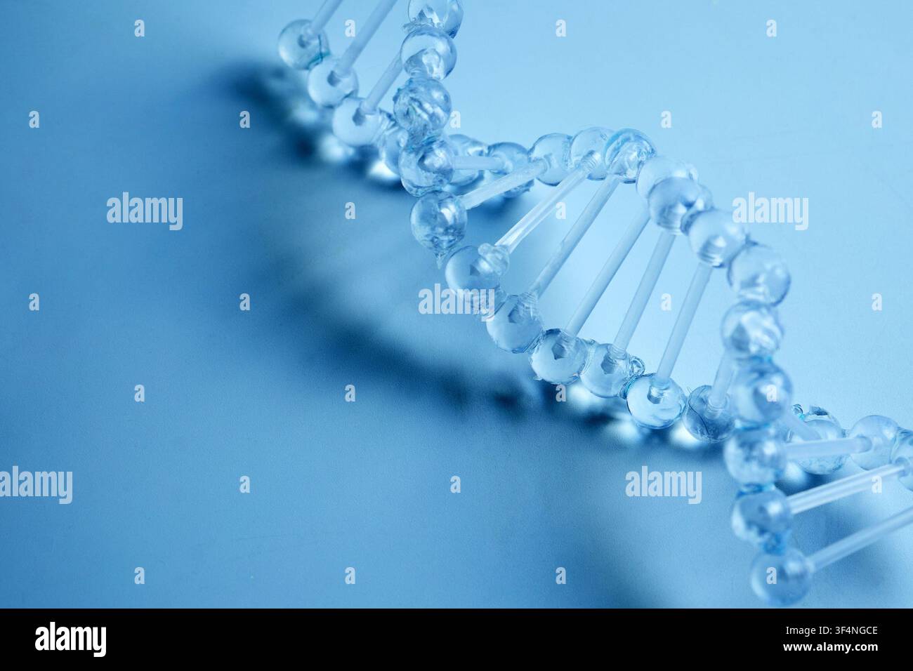 DNA-Helix-Strukturmodell für medizinische Forschung Stockfoto