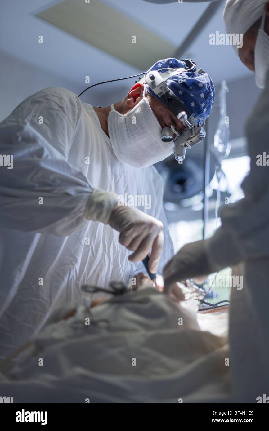 Konzentrierte Chirurgen führen eine komplexe medizinische Operation in einem sterilen Operationssaal durch. Der leitende Arzt trägt chirurgische Vergrößerungslupen und eine Kopflampe. Pr Stockfoto