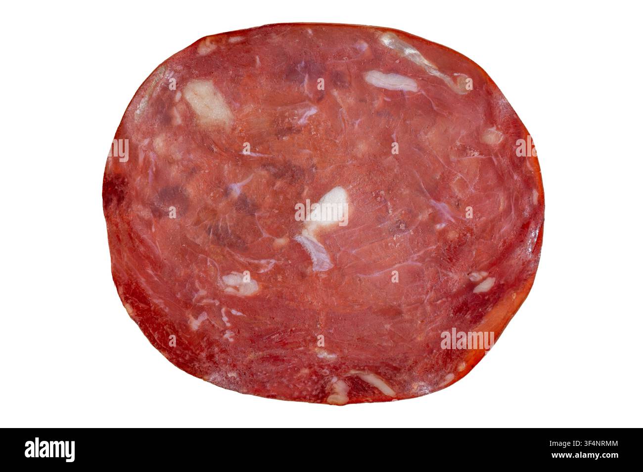 Gekürter Salami-Schnitt mit marmorierter Fettstruktur im Nahaufnahme-Detail Stockfoto