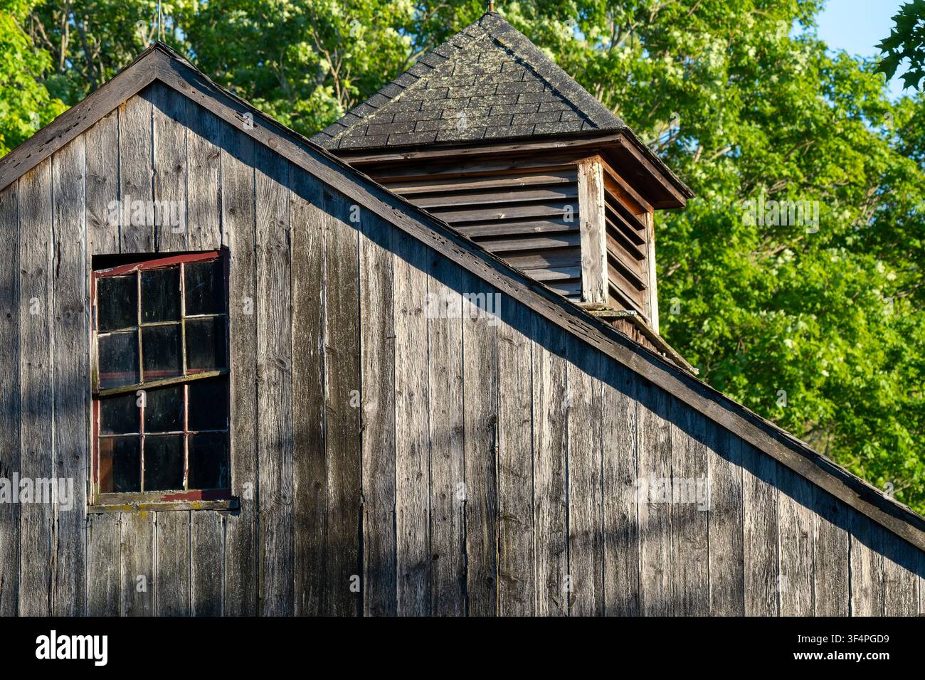 Verwitterte Holzbarn mit Kuppel und altem Fenster im Sommerlicht Stockfoto