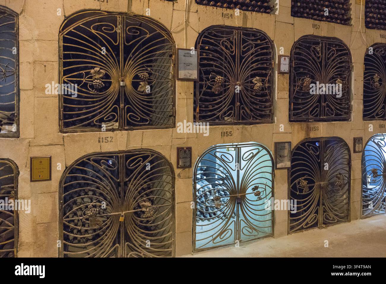 Reihen von Flaschenregalen mit Metallgittertüren, die einen sicheren Weinlagerplatz in einer Kellerei zeigen, Weinkellerei Milestii Mici, Milestii Mici, Repu Stockfoto