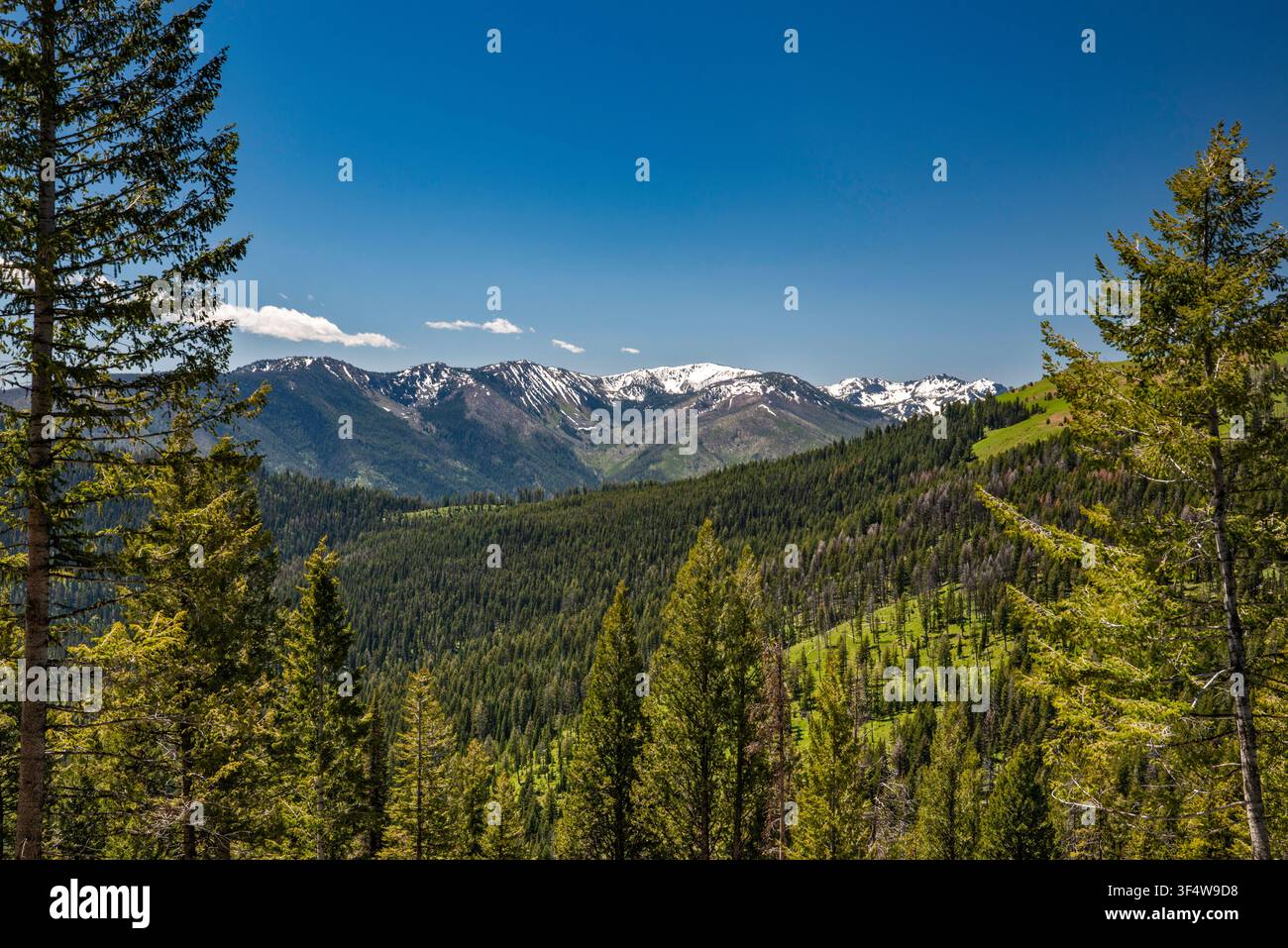 Seven Devils Mountains, Blick von der Squaw Creek Road auch bekannt als Seven Devils Road, NF-517, Payette National Forest, Hells Canyon Wilderness, Idaho, USA Stockfoto