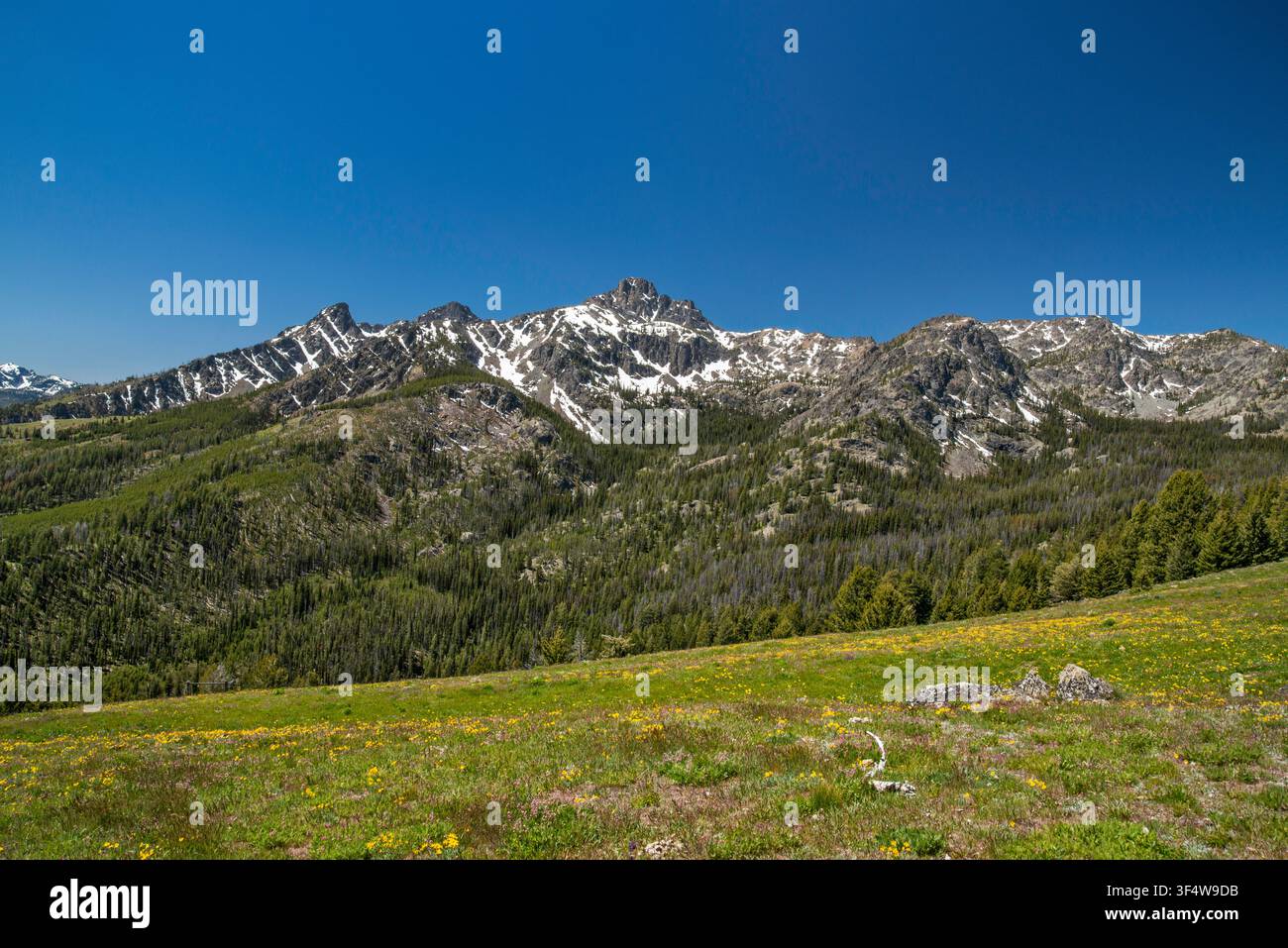 Seven Devils Mountains, Blick von der Squaw Creek Road, auch bekannt als Seven Devils Road, NF-517, nahe Windy Saddle Campground, Hells Canyon, Idaho, USA Stockfoto