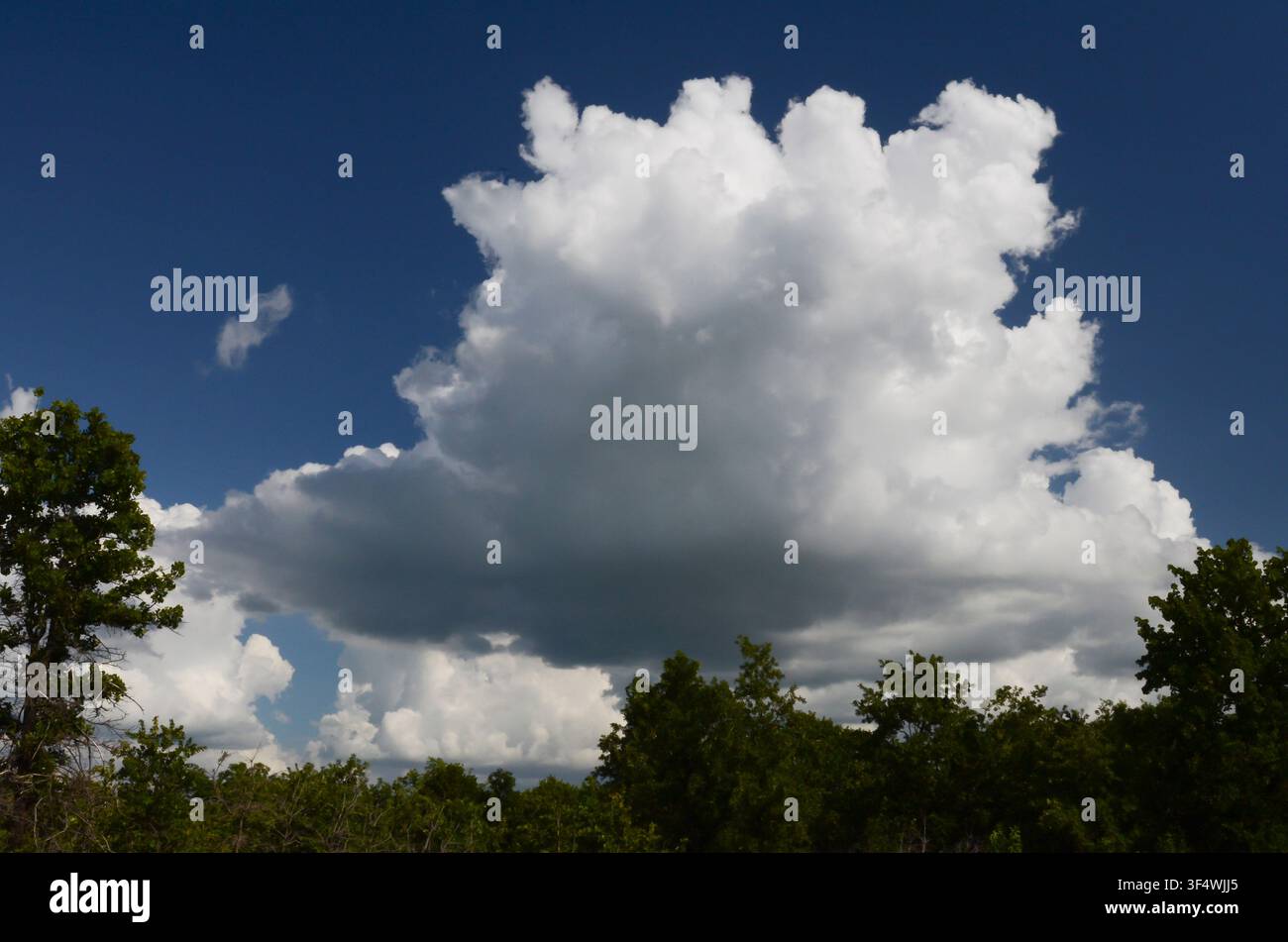 Cumuluswolken über den zentralen Oklahoma-Cross-Timbers Stockfoto