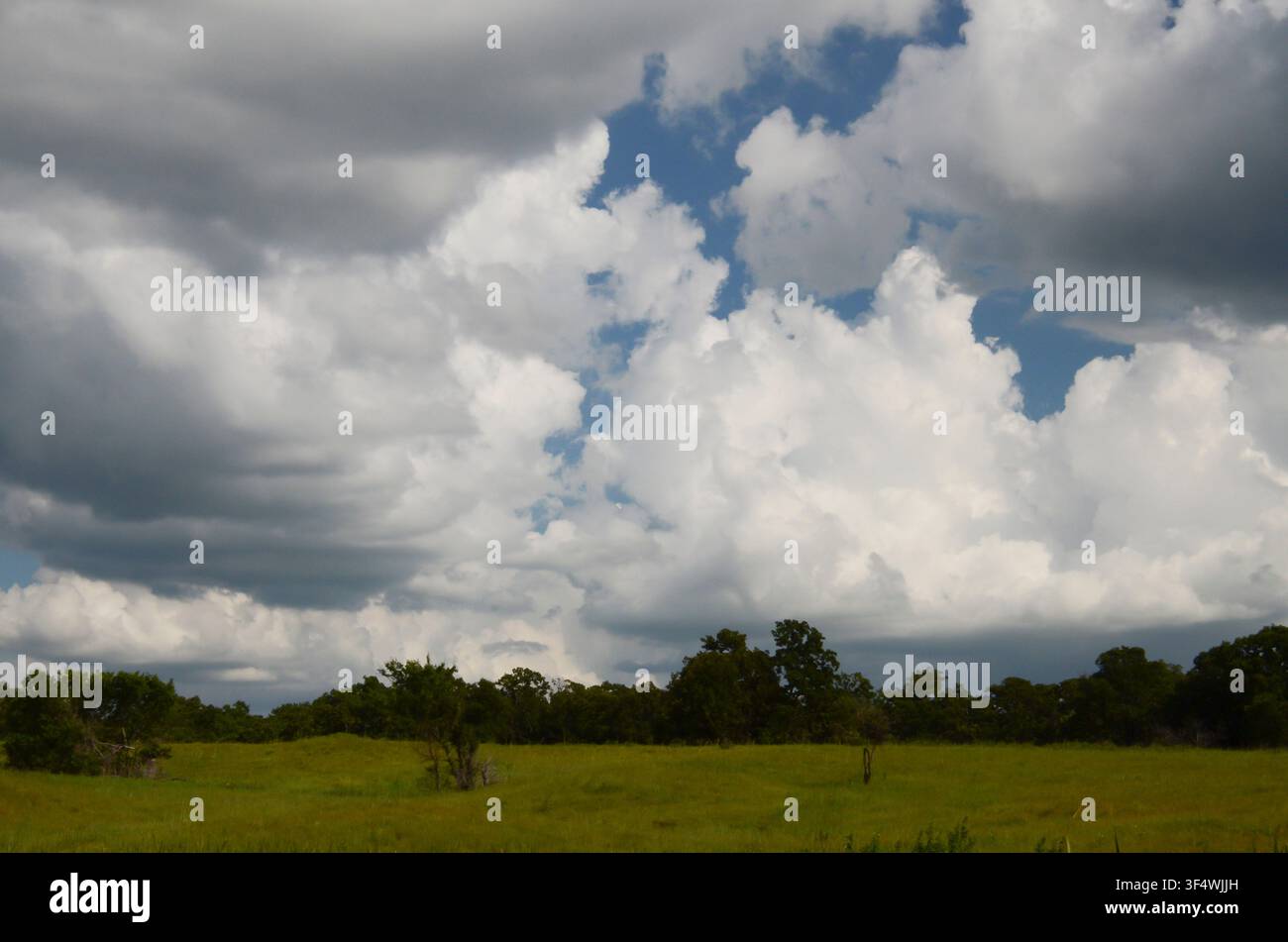 Cumuluswolken über den zentralen Oklahoma-Cross-Timbers Stockfoto