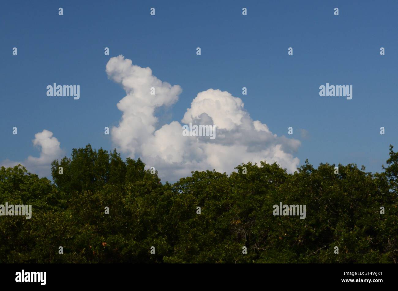 Cumuluswolken über den zentralen Oklahoma-Cross-Timbers Stockfoto