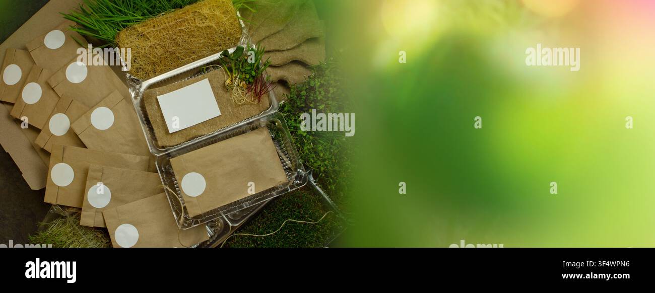 Banner für Website-Header-Design Keimtrays mit Saatgutpackungen, Jutegarnituren und offener Pappkarton-Flachlage. Dichte Büschel von frisch geerntetem Grün Stockfoto