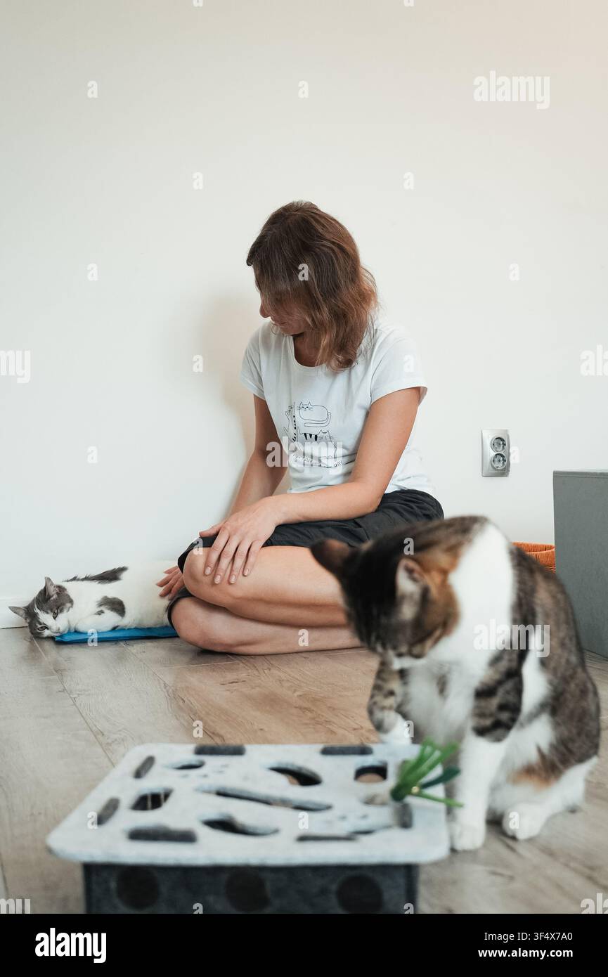 Frau entspannt sich mit zwei Hauskatzen während der Indoor-Spielzeit zu Hause. Gemütlicher Alltagsmoment, der Kameradschaft und Tierbereicherung zeigt. Stockfoto