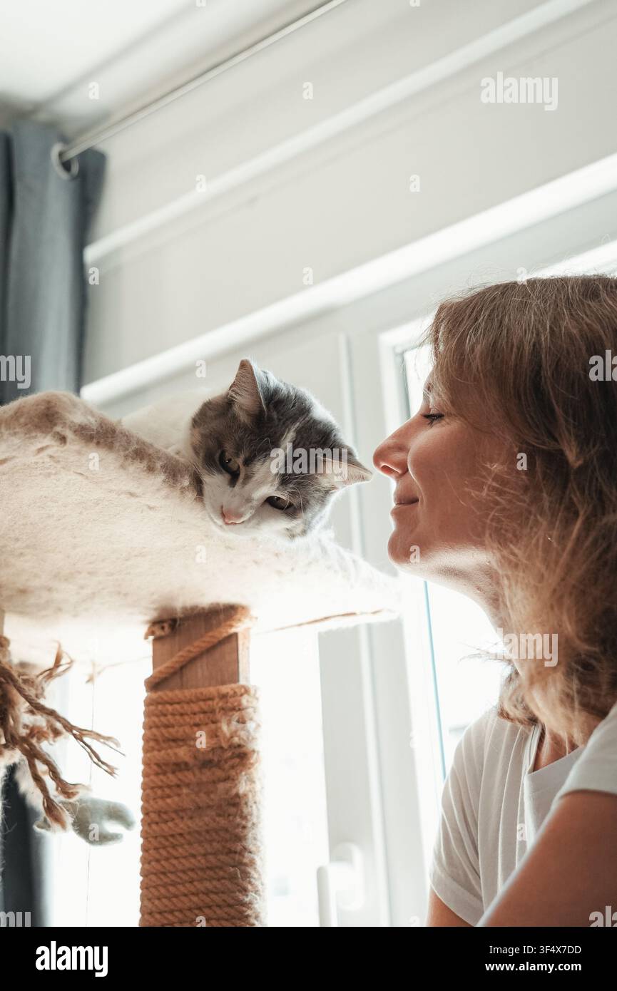 Frau lächelt ihre graue und weiße Katze an, die auf einem Katzenbaum in der Nähe eines Fensters entspannt. Warme Interaktion fängt Zuneigung, Kameradschaft und Alltagsleben ein Stockfoto