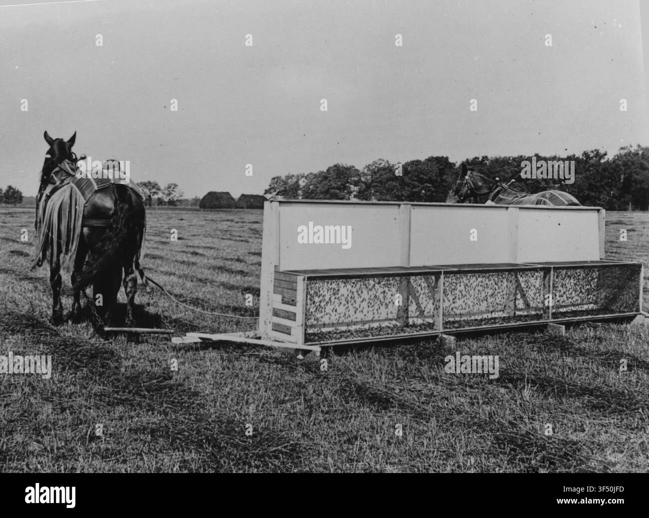 Eine Heuschrecken-Fangmaschine, auch bekannt als 'Hopper-Dozer', die von Bauern verwendet wurde, um Heuschrecken für Hühnerfutter zu fangen, circa 1900-1938. Stockfoto