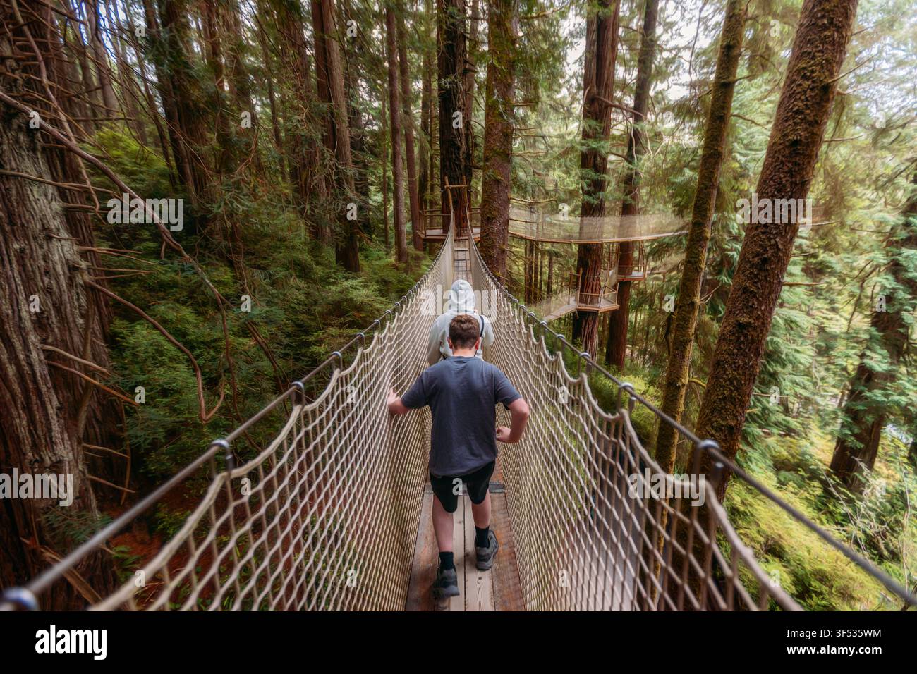 Zwei Personen erkunden einen Baumkronweg Stockfoto