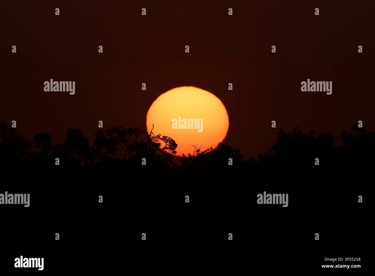 Landschaftsansicht des Sonnenaufgangs über Mangroven, Gambia-Fluss, Kombo Nord, Gambia, Dezember Stockfoto