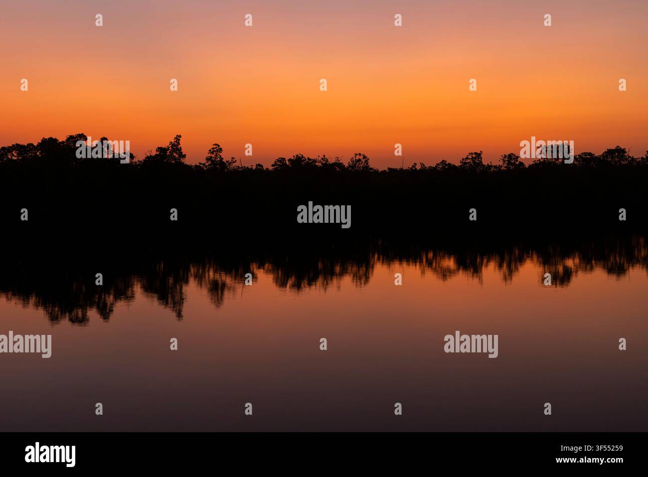 Landschaftsansicht des Sonnenaufgangs über Mangroven, Gambia-Fluss, Kombo Nord, Gambia, Dezember Stockfoto
