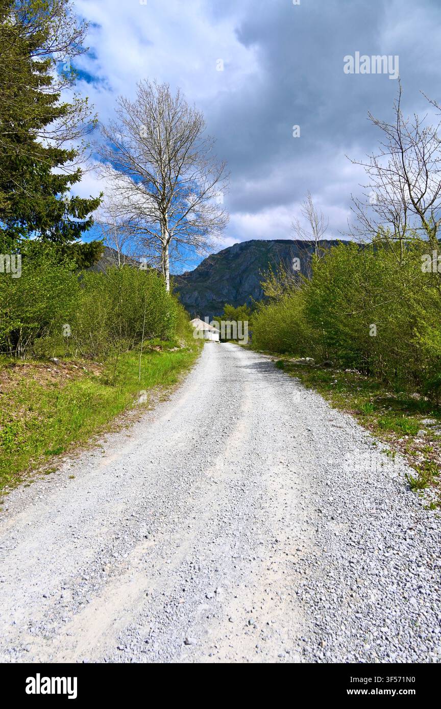 Ein malerischer Blick auf eine schmale Schotterstraße, die sich durch üppige grüne Büsche und Bäume windet und zu einem fernen Berg unter einem dramatischen bewölkten Himmel im Frühling führt Stockfoto