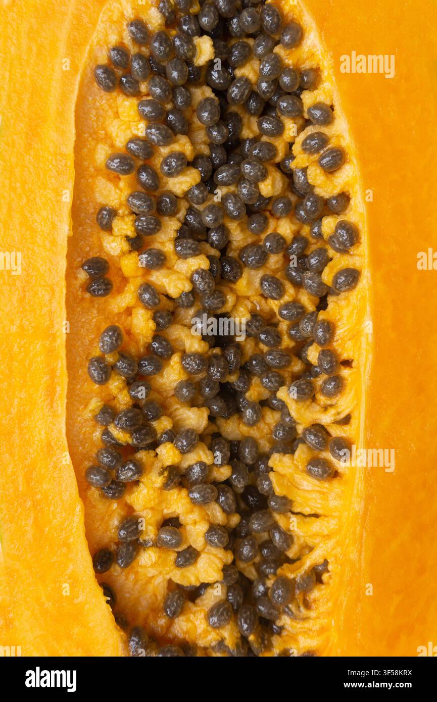 Nahaufnahme von Papayasaaten und orangefarbenem Fruchtfleisch mit detaillierter Textur Stockfoto