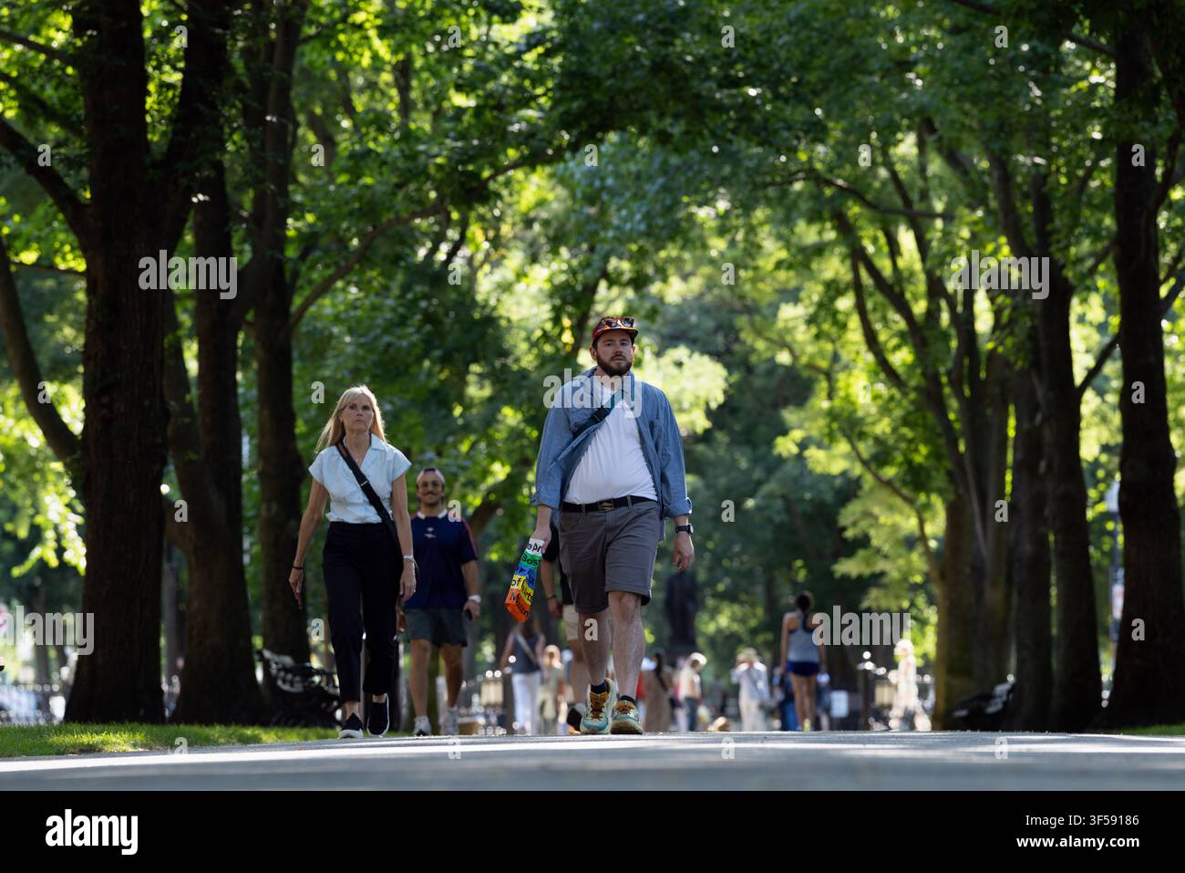 Fußgänger gehen unter dem Baumkronendach der Commonwealth Avenue Mall in Boston, Massachusetts. Stockfoto