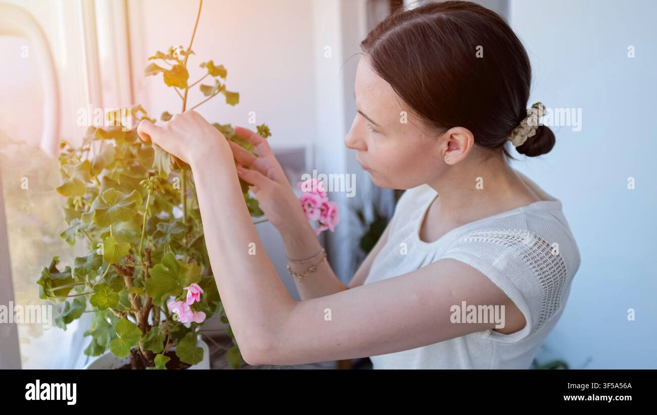 Junge Frau pflegt Zimmerpflanze am sonnigen Fenster Stockfoto