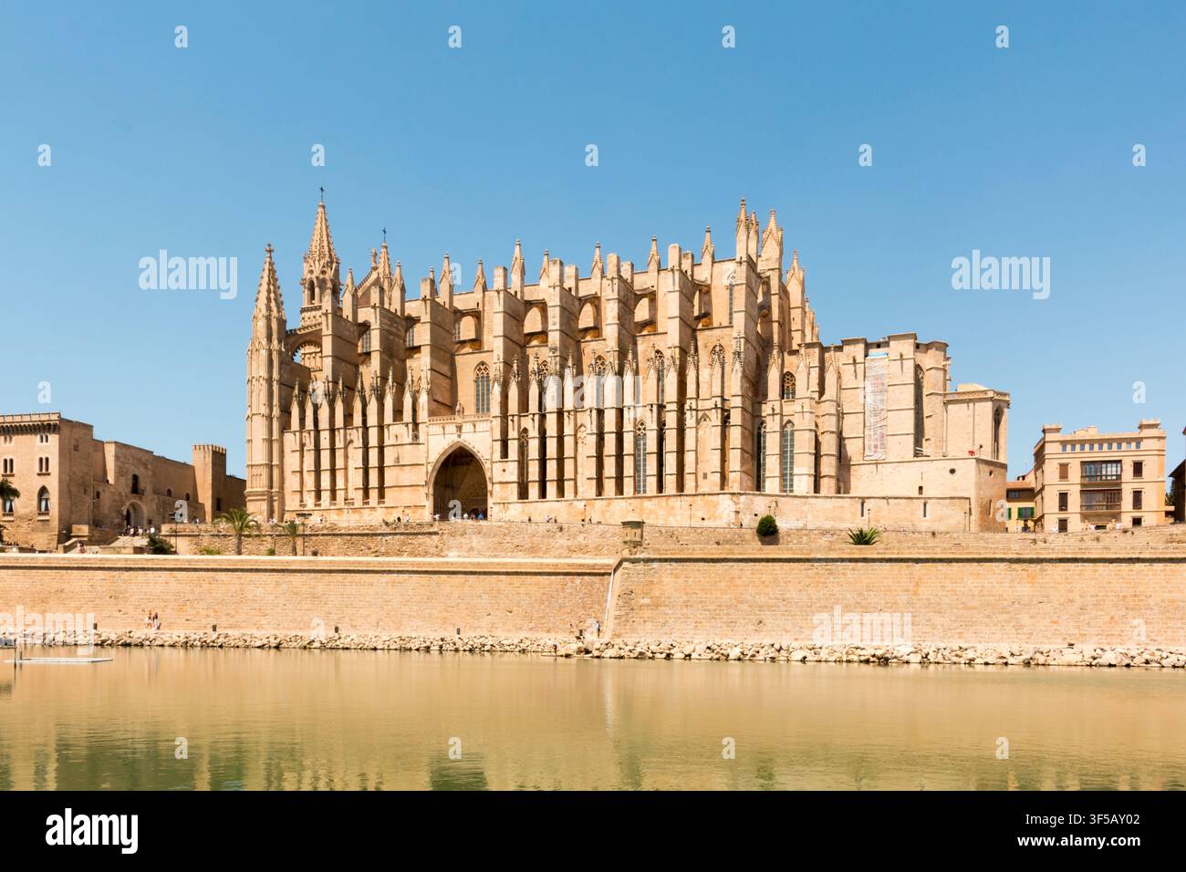 Kathedrale von Santa Maria von Palma, eine gotische römisch-katholische Kathedrale in Palma, Mallorca, Spanien. Stockfoto