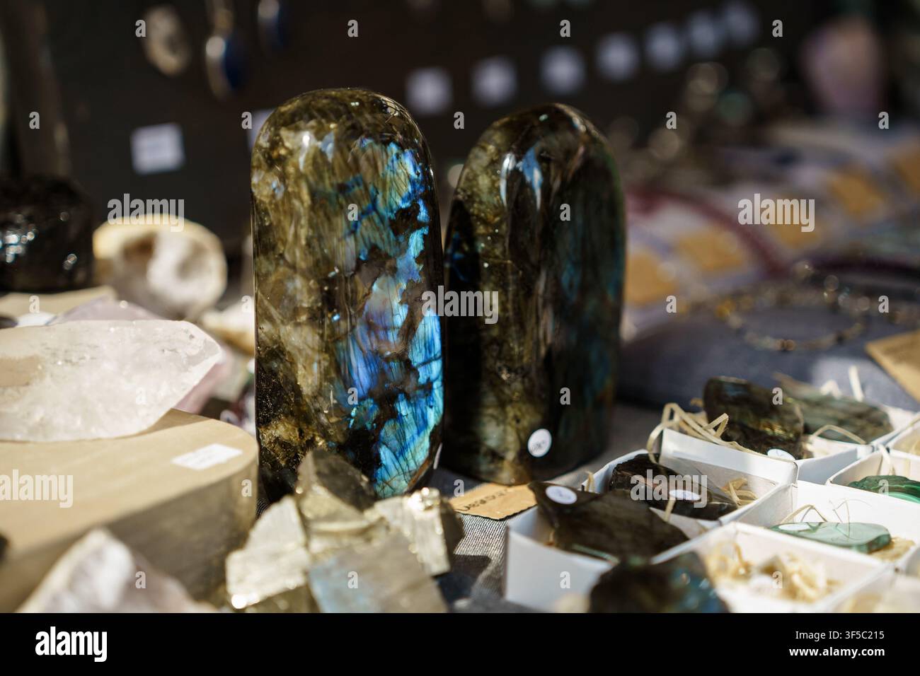 Polierte Labradorit-Kristalle mit irisierenden blauen Flecken, die an einem Marktstand ausgestellt sind. Labrador escenz-Sammelstein-Kollektion, polierte Gesteinsauslage, Mineralogie und Steinsammeln Stockfoto
