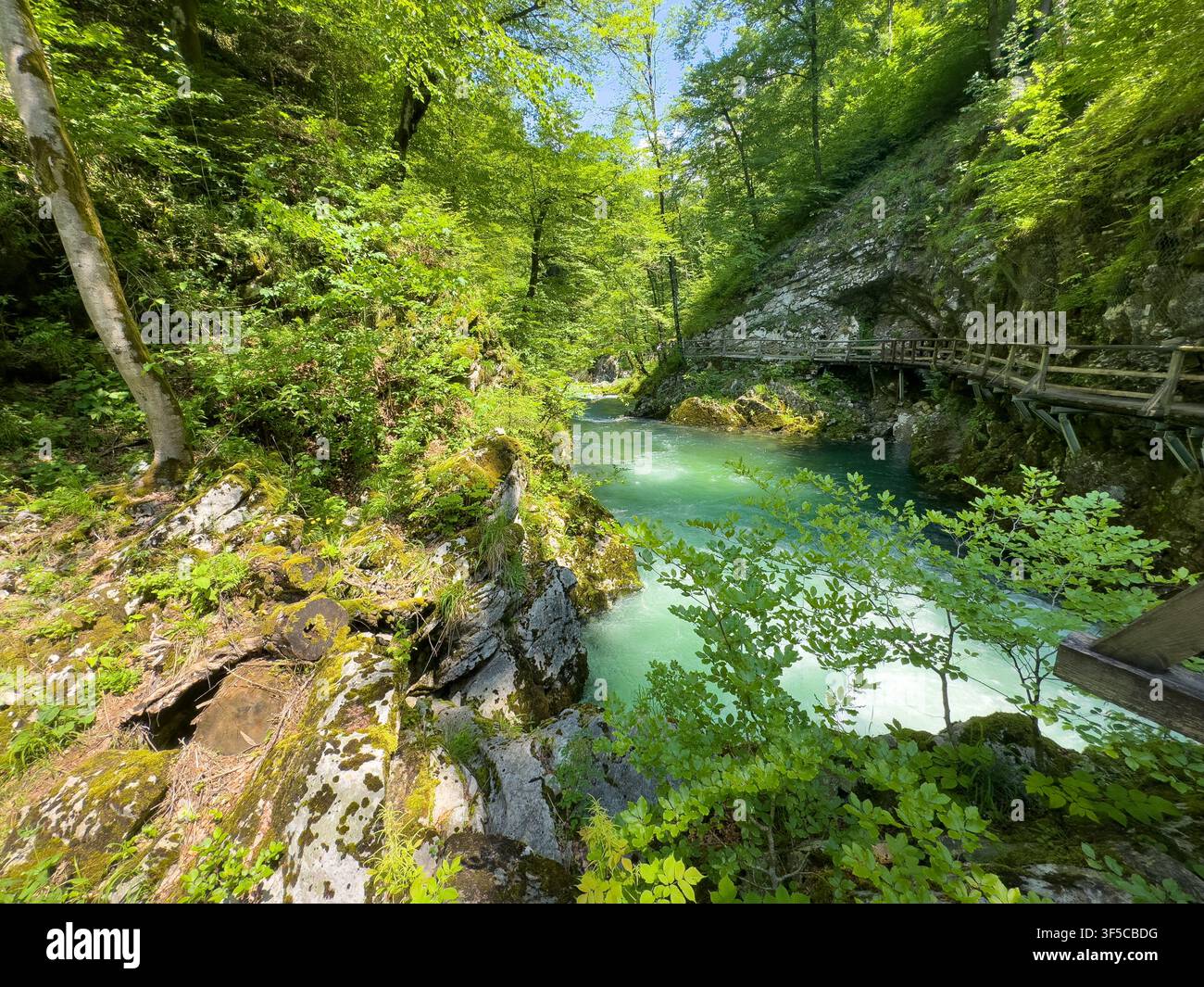 Ein türkiser Bergfluss stürzt durch eine enge Waldschlucht, mit einem hölzernen Steg, der an der Felswand haftet. Stockfoto