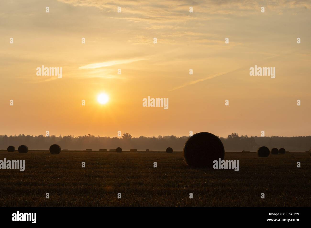 Goldener Sonnenaufgang über einer abgeernteten Weizenfeld mit runden Heuballen Stockfoto