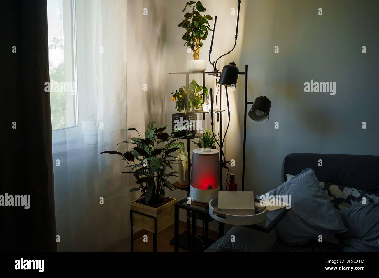 Ruhige, gemütliche Ecke eines modernen Schlafzimmers mit lebendigen grünen Topfpflanzen auf einem gestuften Metallständer und einer verstellbaren Stehlampe, Innengarten, Urban-Jungle-Stil, Wohnkultur Stockfoto