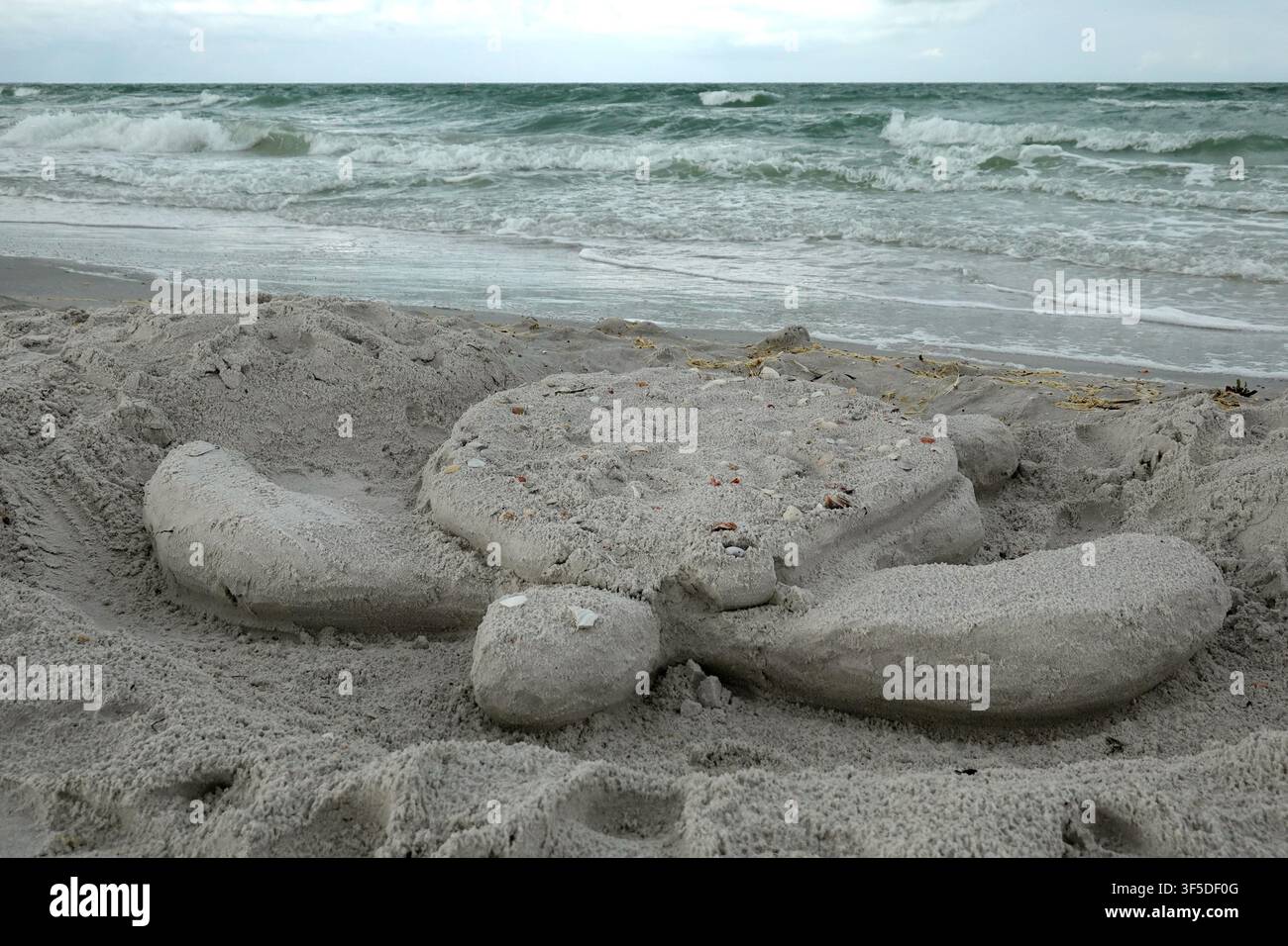 Eine detaillierte Sand Skulptur einer Schildkröte sitzt an einem Strand in der Nähe des Ozeans. Die Schildkröte hat ein abgerundetes Panzer, das mit kleinen Muscheln verziert ist. Stockfoto