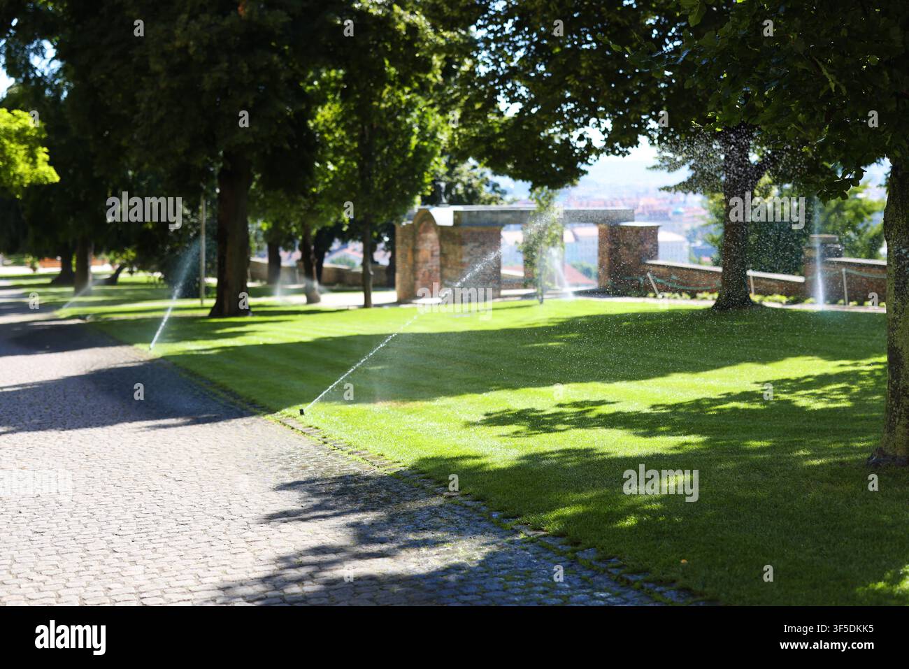 Automatische Sprinkler bewässern einen üppigen grünen Rasen in einem Stadtpark an einem sonnigen Sommertag und zeigen Bewässerung und Landschaftspflege. Stockfoto